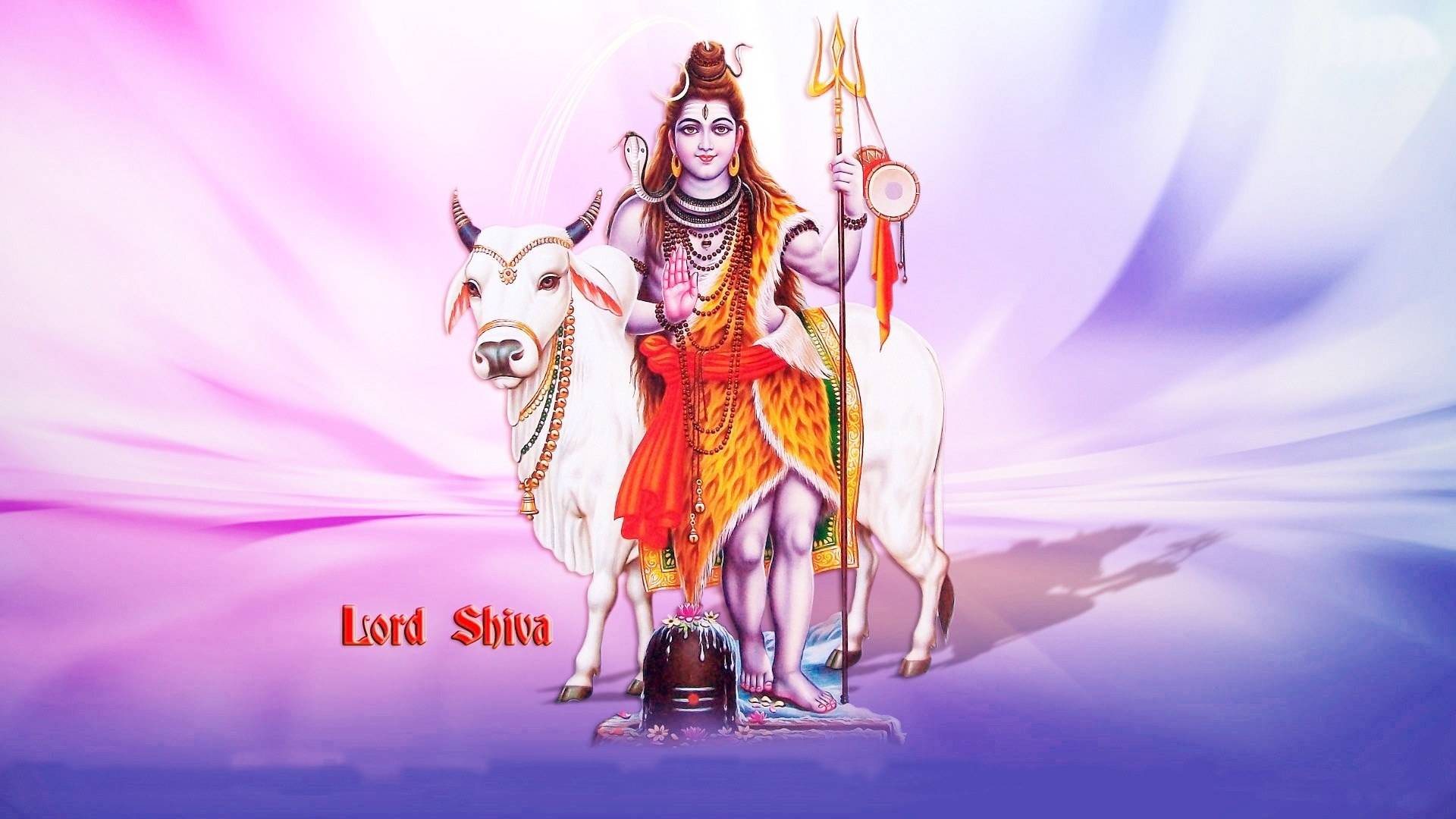God Shiva Mahadev Photos For Whatsapp Dp
