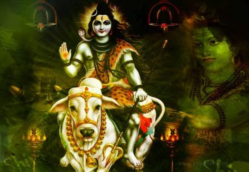 God Shiva Wallpaper 3d