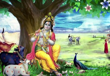 Krishna With Cow Hd Images