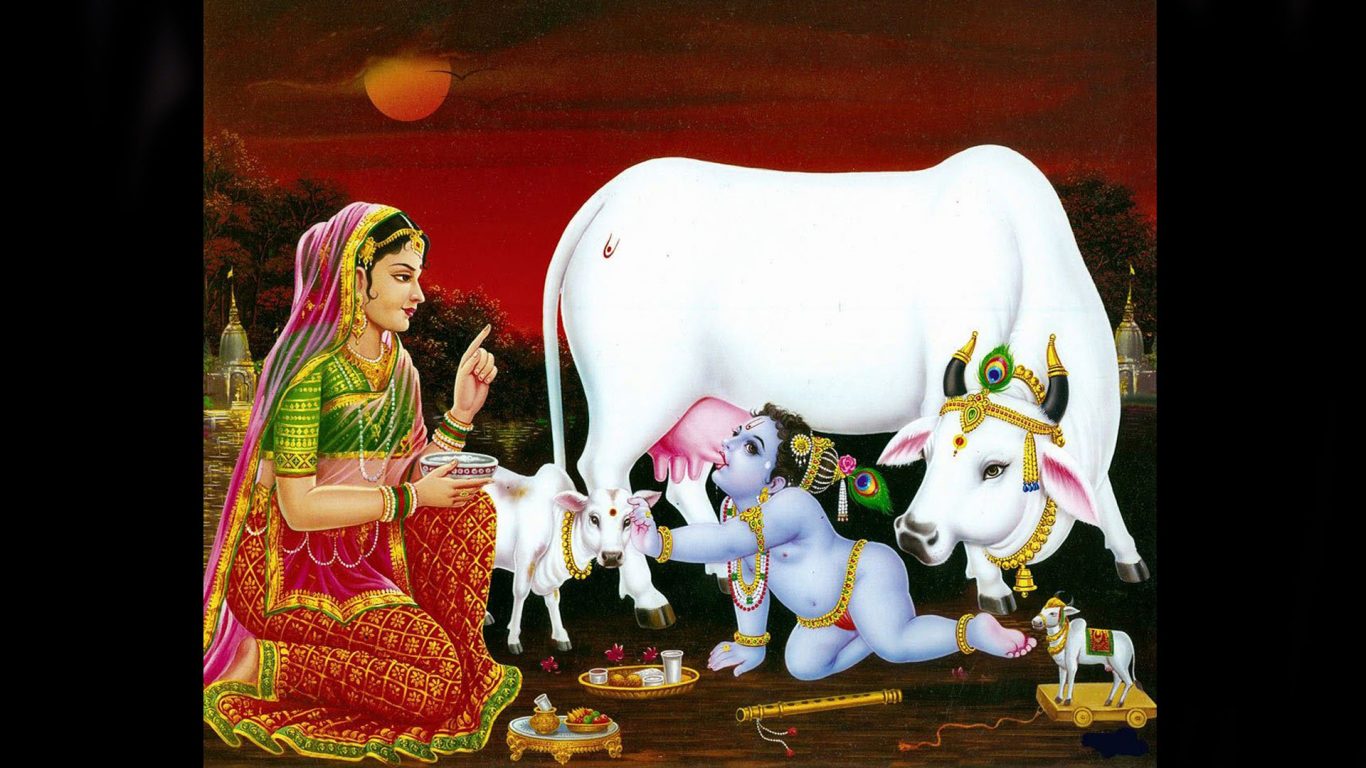 lord krishna with cow hd images download