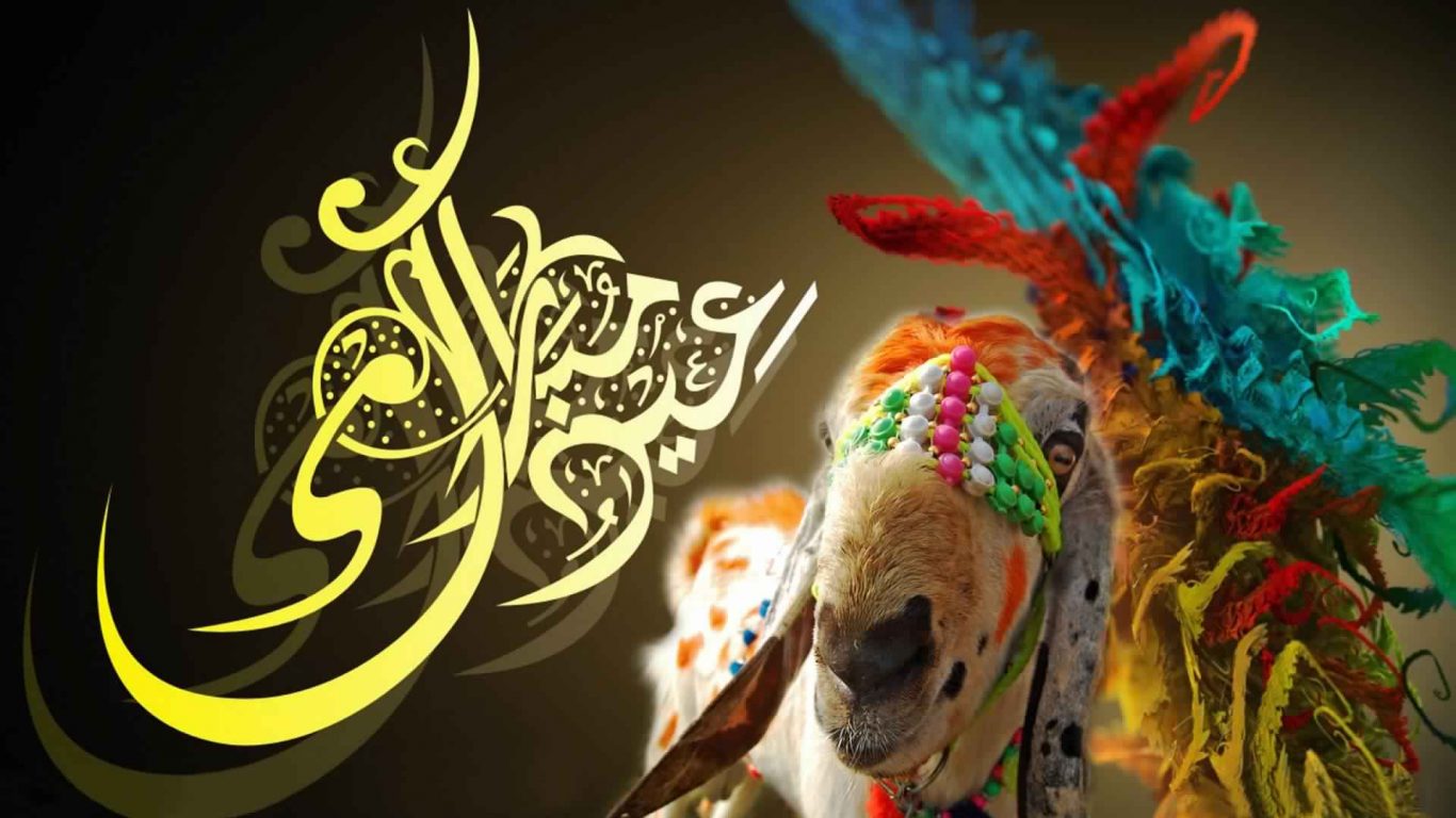 Bakra Eid Wallpaper Hd | Eid al Adha (Bakrid)