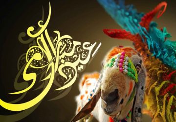 Bakra Eid Wallpaper Hd