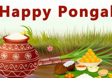 3d Pongal Pictures Hd Wallpapers Download High Quality 1080p