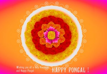 Beautiful Pongal Hd Wallpapers Flowers Cow Rongoli Download 1080p