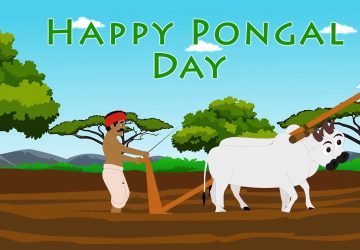 Happy Pongal Festival Wishes Pongal Day Wishes Images Pictures