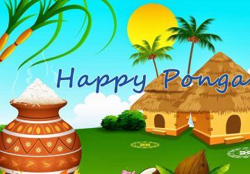 Happy Pongal Hd Desktop Background Wallpapers