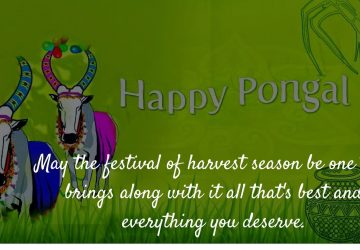 Happy Pongal Hd Wallpaper Wishes In English Hindi Telugu Tamil Malayalam