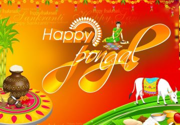 Happy Pongal Hd Wallpapers Pics Tamil Telugu Download