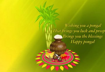 Happy Pongal Wallpapers High Quality Download