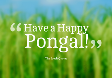 Have A Happy Pongal Happy Pongal Hd Wallpaper For Pc 1920×1080