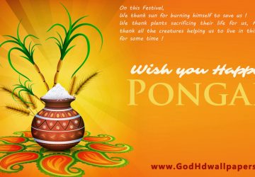 Latest Happy Pongal Wishes Hd Picture Wallpaper 1366×768