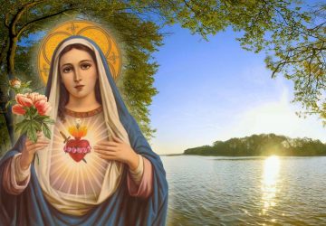 Mother Mary Images Hd Wallpaper Free Download