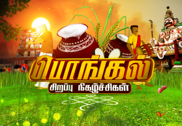 Pongal Celebration Picture Wallpapers Tamil