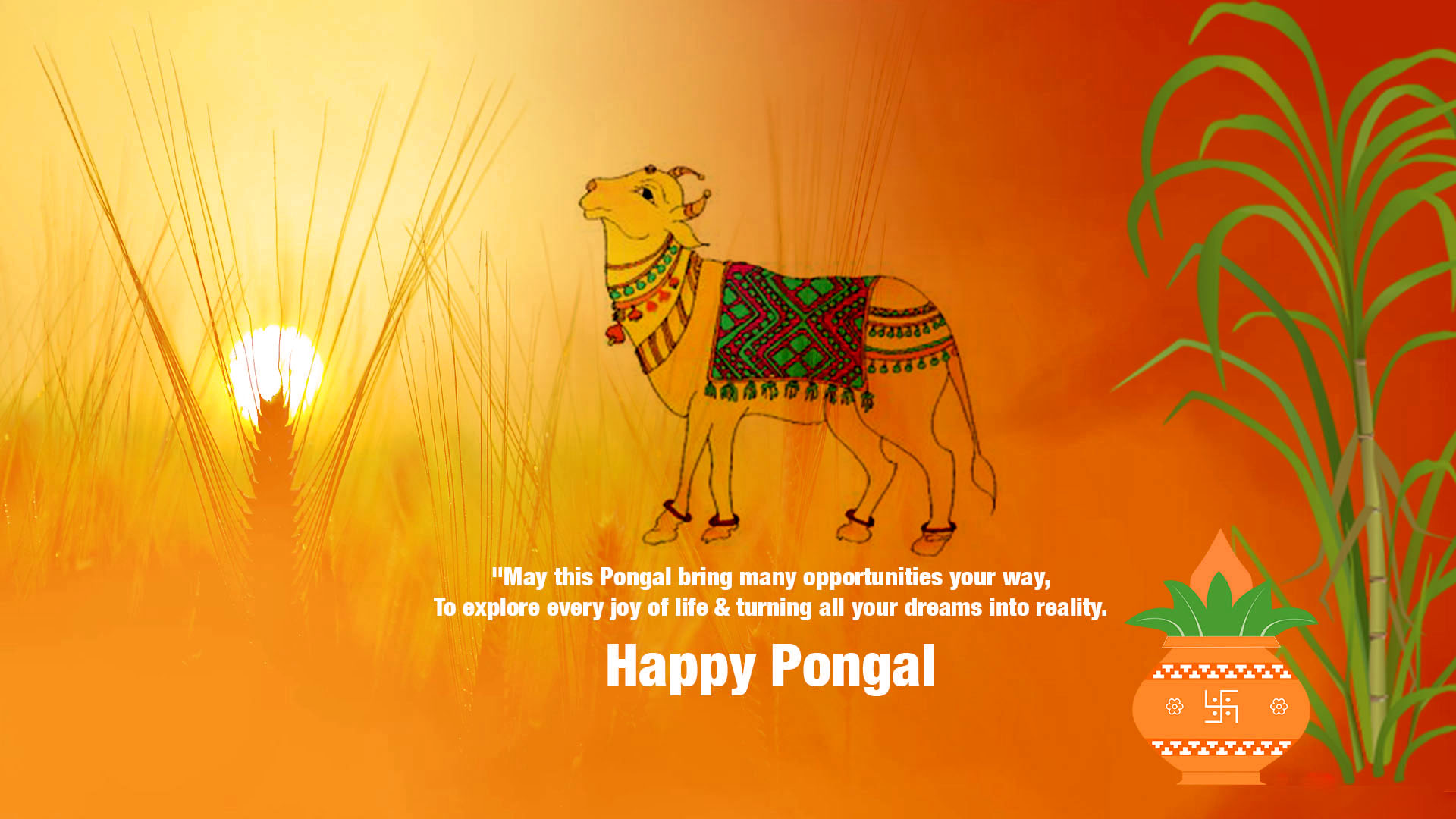 Pongal Celebration Pictures For Drawing | Festivals