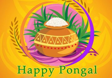 Pongal Festival Celebration Picture Wallpapers Tamil