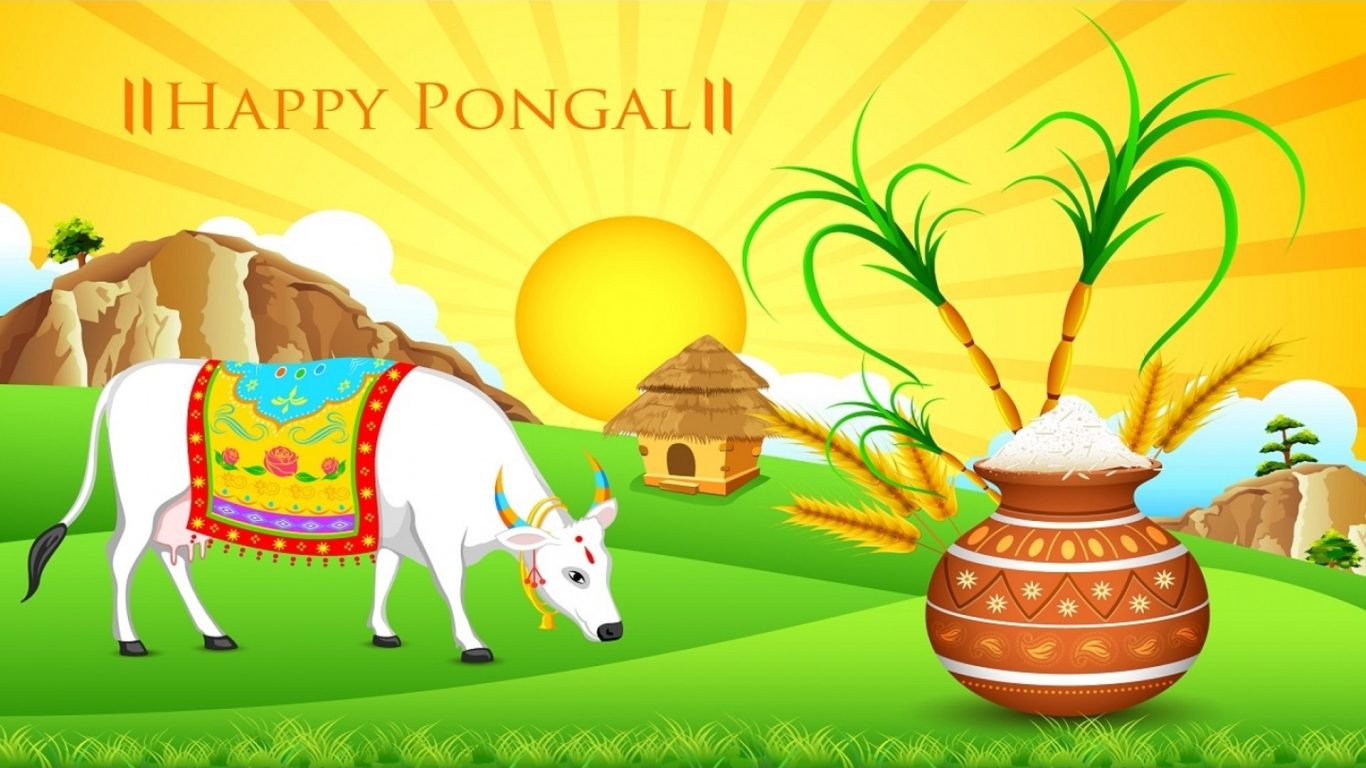Pongal Festival Images Wallpapers Full Size 1080p - God HD Wallpapers