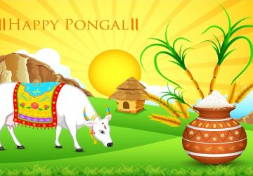 Pongal Festival Images Wallpapers Full Size 1080p