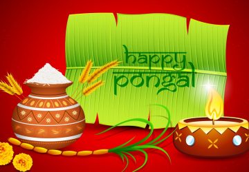 Pongal Festival Photo Picture Hd Wallpapers Download For Desktop 1080p