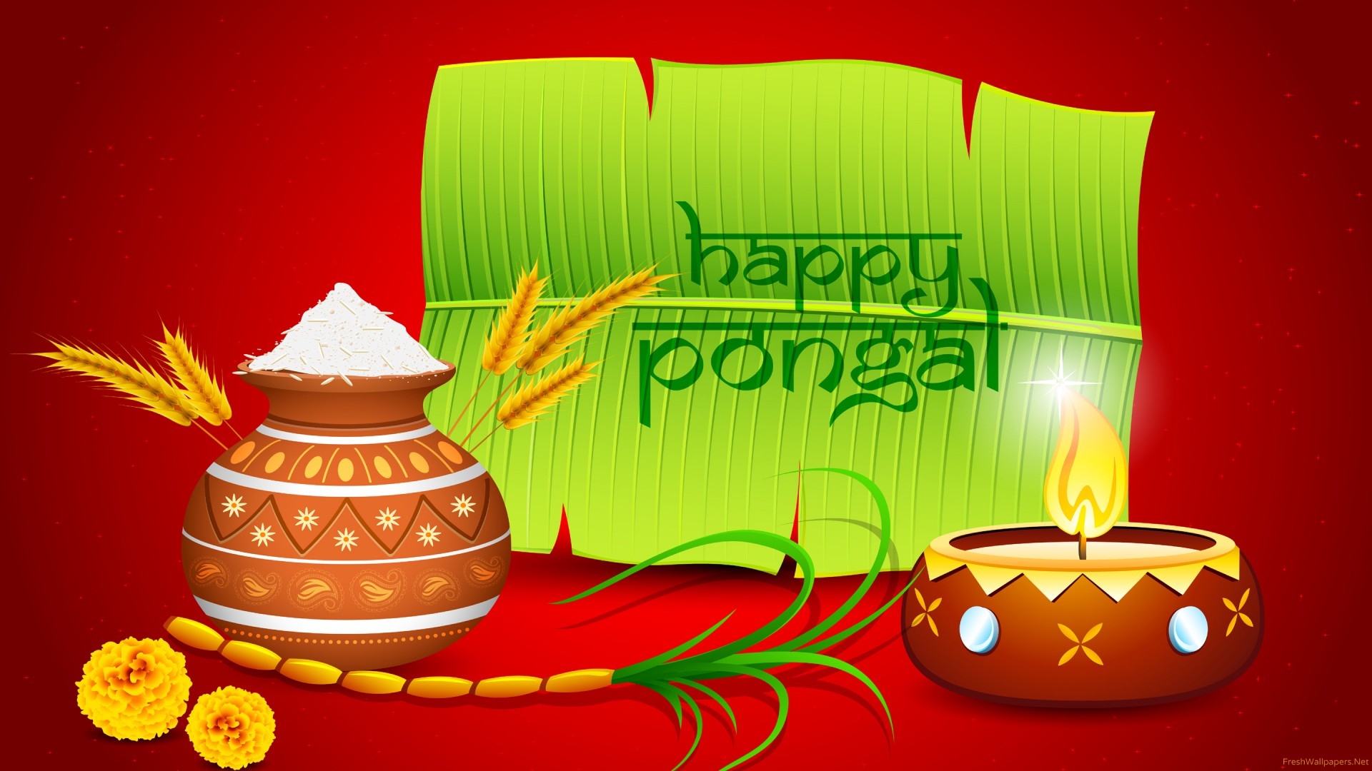 Pongal Festival Photo Picture Hd Wallpapers Download For Desktop 1080p