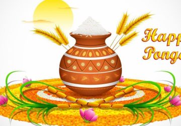 Pongal Festival Pictures Images Photos Download