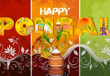 Pongal Hd Images Free Download For Android Phone Desktop Pc Facebook