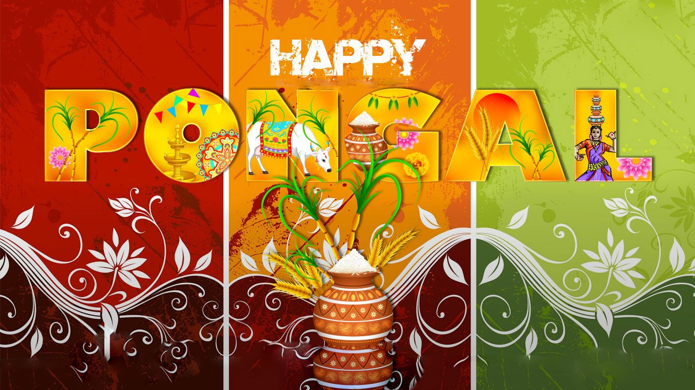 Pongal Hd Images Free Download For Android Phone Desktop Pc ...