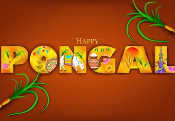 Pongal Images Free Download For Whatsapp Dp