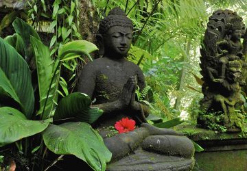 Lord Buddha Pictures Free Download